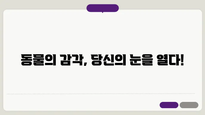 동물의 감각 기관과 정보 처리 과정