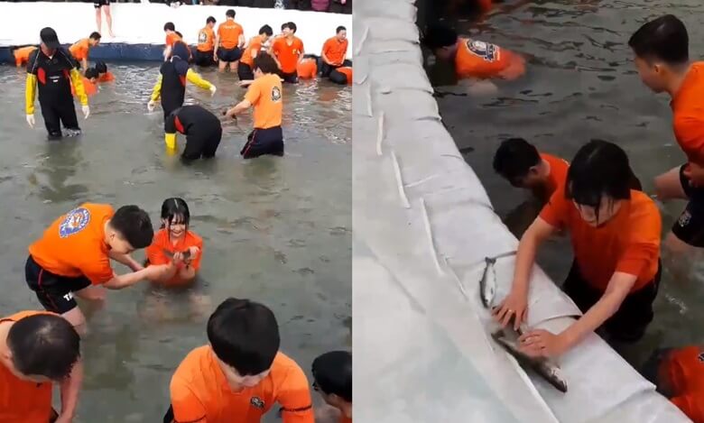 왼쪽은 수많은 관광객들이 오랜지색 반팔티와 검정색 반바지만 입고 산천어를 풀어놓은 커다란 어장속에서 아빠가 딸에게 산천어 1마리를 잡도록 도와주고 딸이 산천어 한마리를 들고 웃으며 두손으로 붙잡고 있는 모습이며 오른쪽은 한 여성이 산천어 세마리를 잡고 도망갈까봐 두손으로 붙잡고 있는 모습