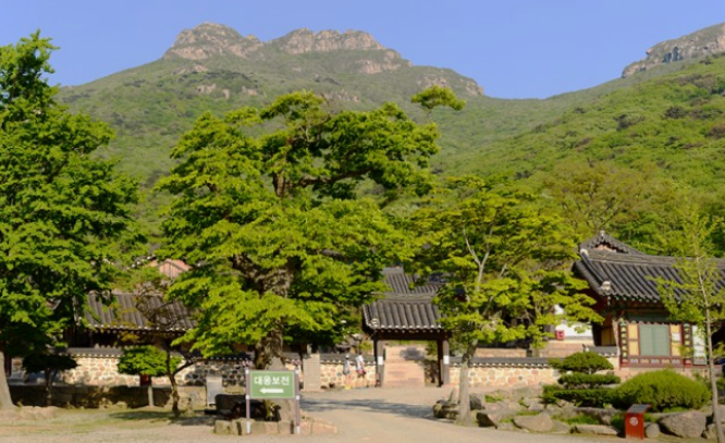 봄에가기좋은사찰