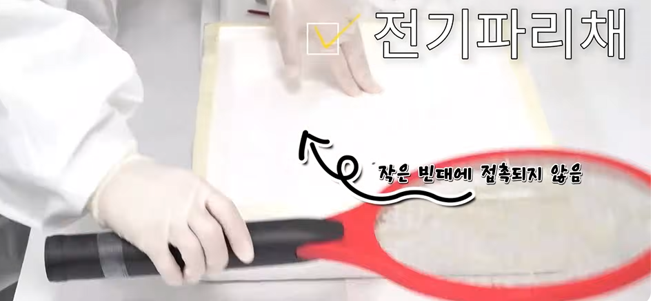 빈대 퇴치법