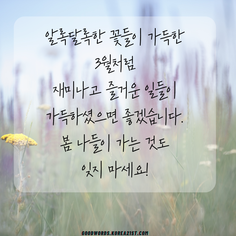 3월 인사말 문구 이미지 모음집