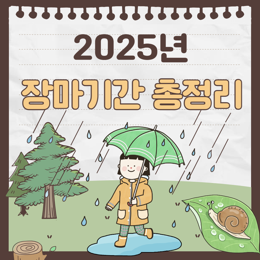 2025년 장기간 및 태풍예보 총정리