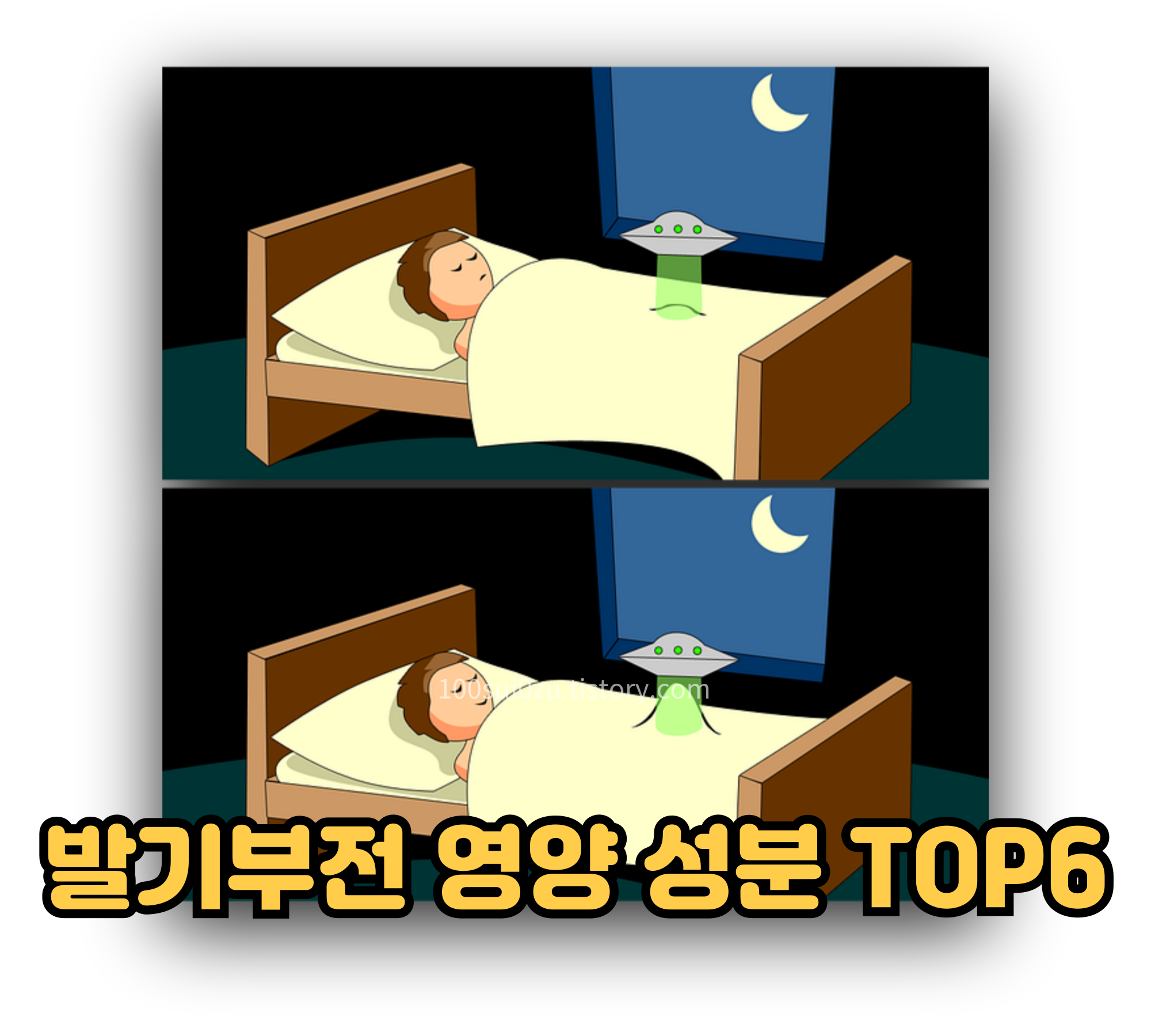 발기부전-영양-성분.TOP6.JPG