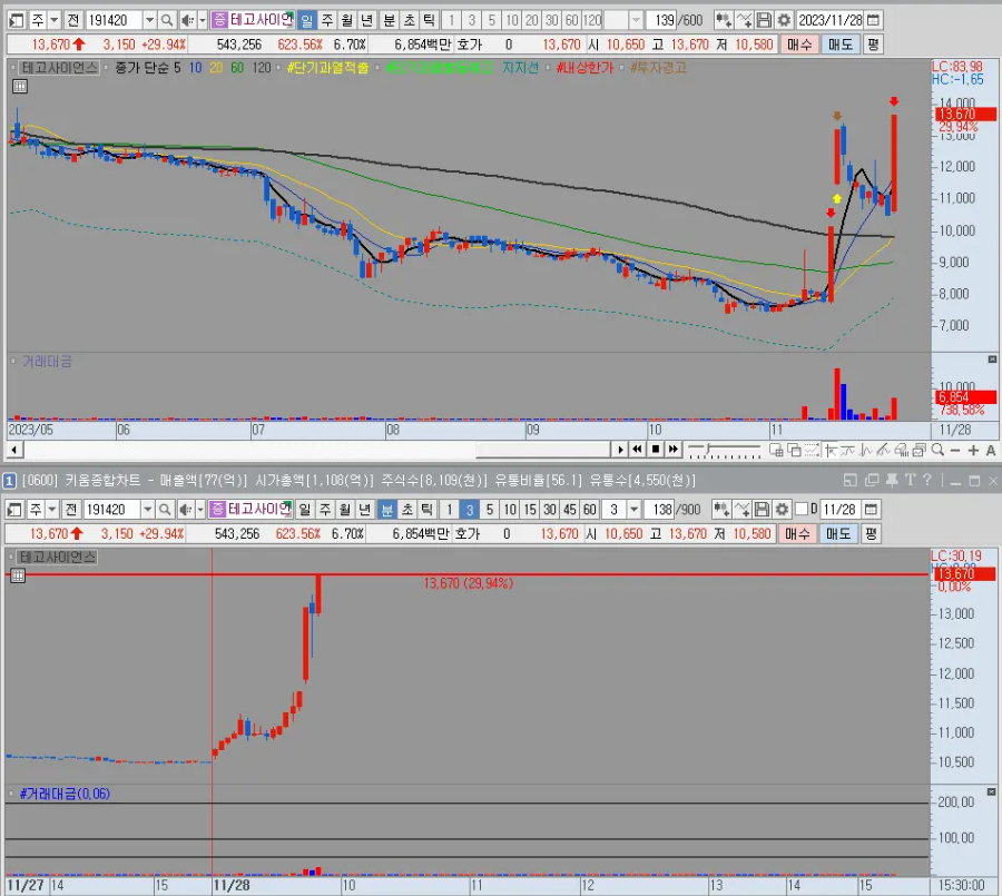 테고사이언스 일봉 및 분봉