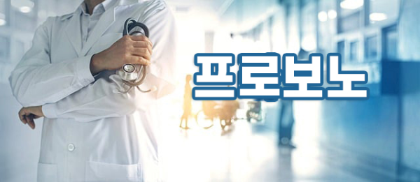 프로보노의 뜻