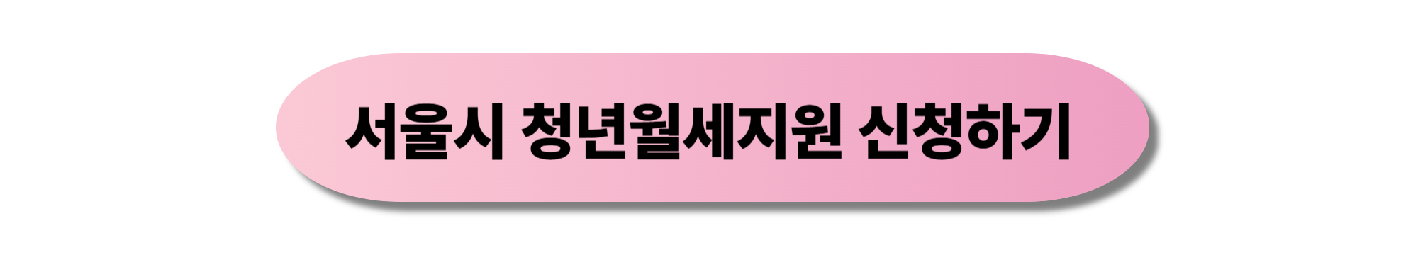 서울시 청년 월세 지원