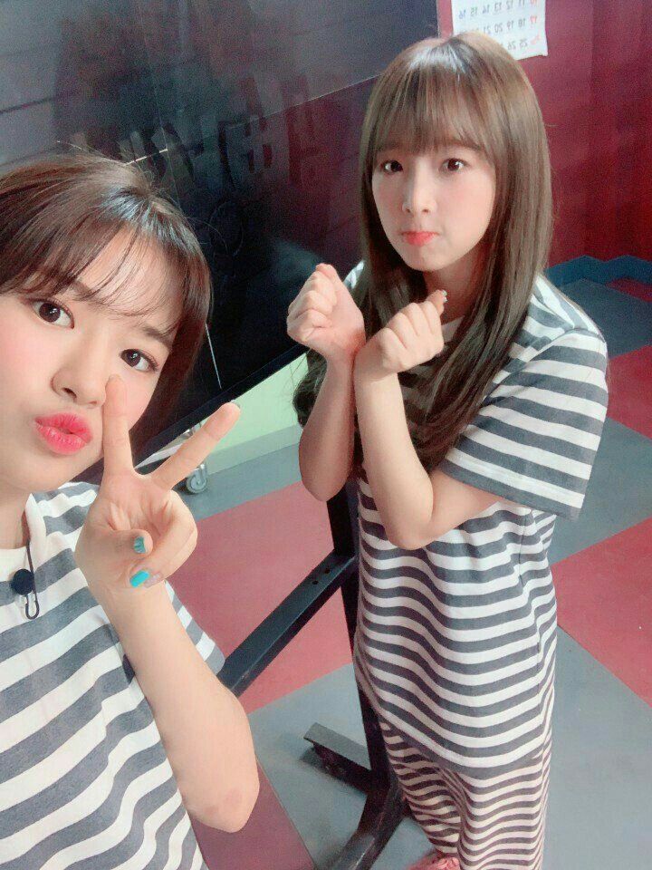 아이즈원 프로듀스48 사진 모음 아이즈원 프로듀스48 사진 모음