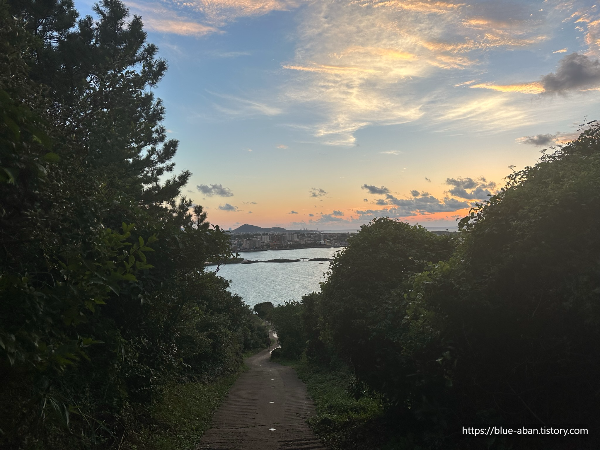 서우봉 중간에서 해수욕장을 바라본 모습