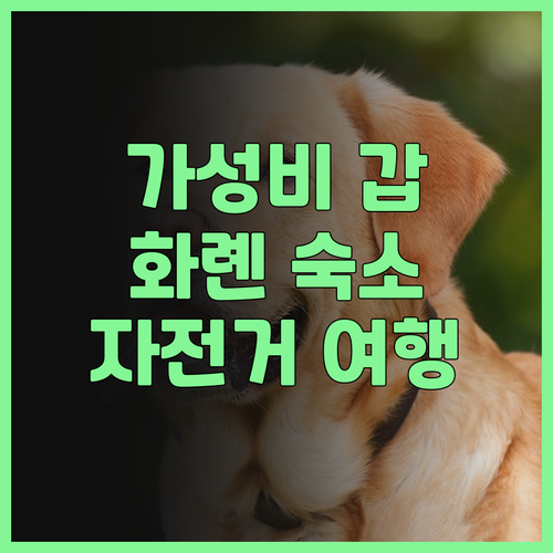 가성비 갑! 포레스트 3030 호스텔..