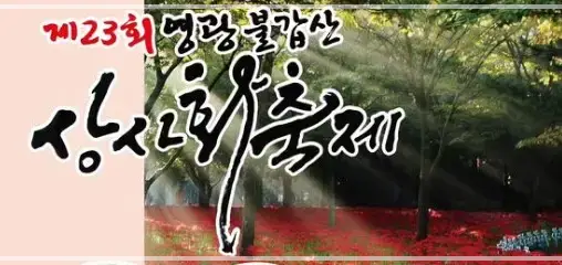 영광 불갑산 상사화축제