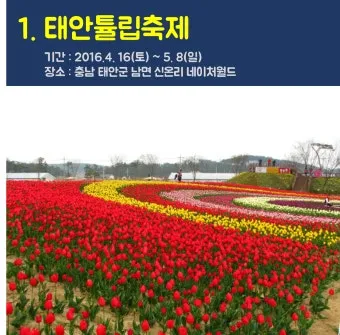 5월 가봐야할 전국 축제 10선 가족 연인 최고 명소_24