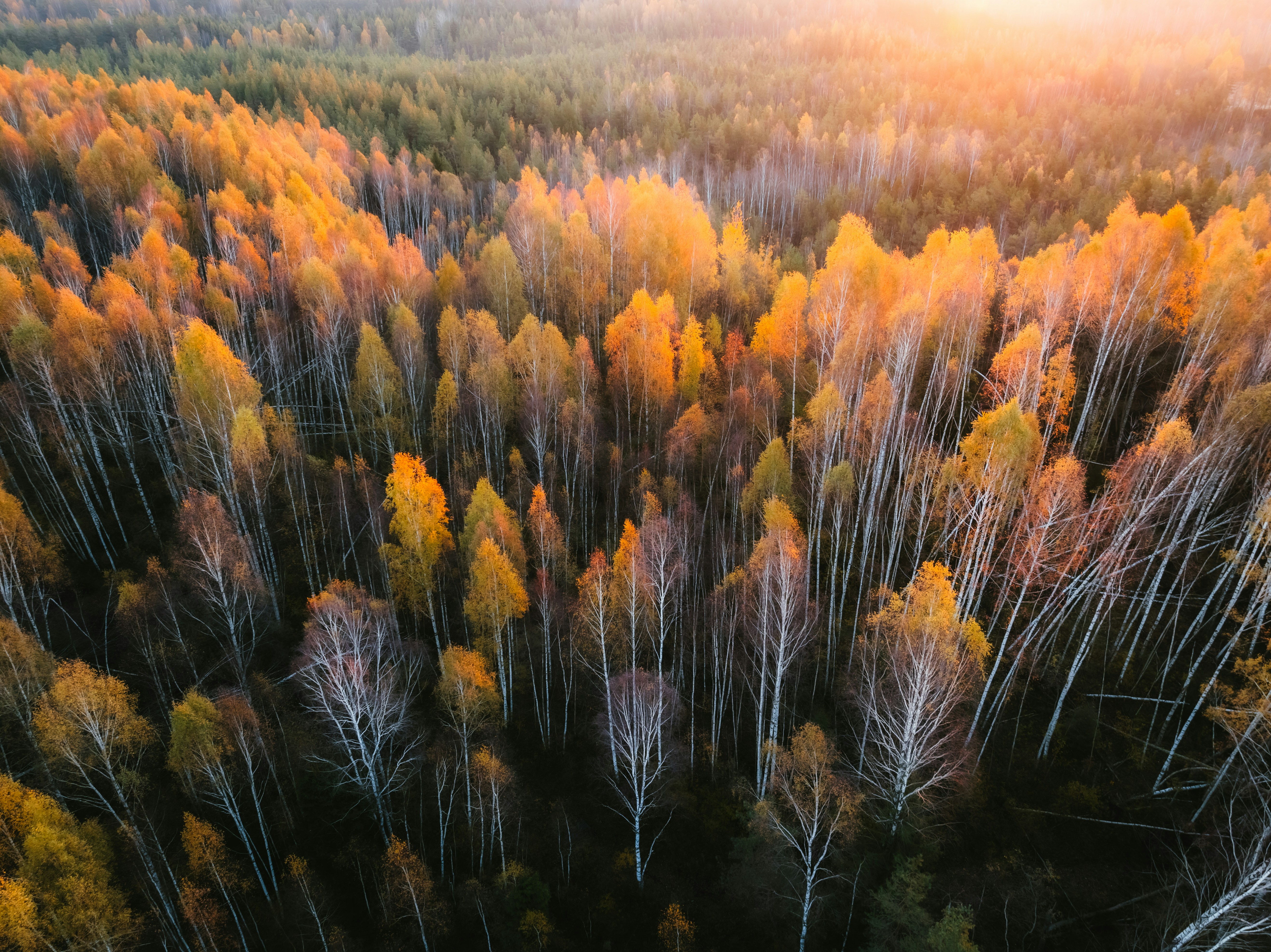사주에서 월주와 월지의 중요성
