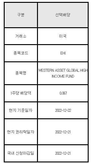 미국주식 선택배당 안내 EHI