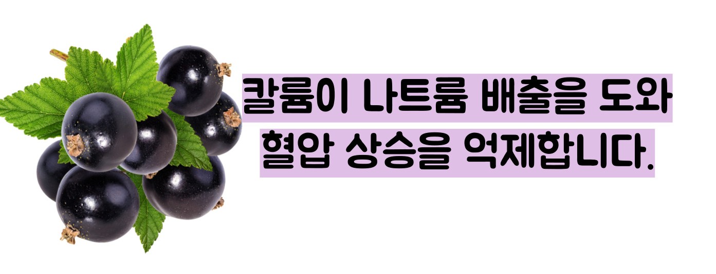 블루베리 효능