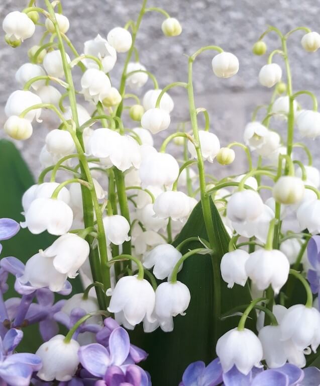 ์๋ฐฉ์ธ๊ฝ ํฌํ