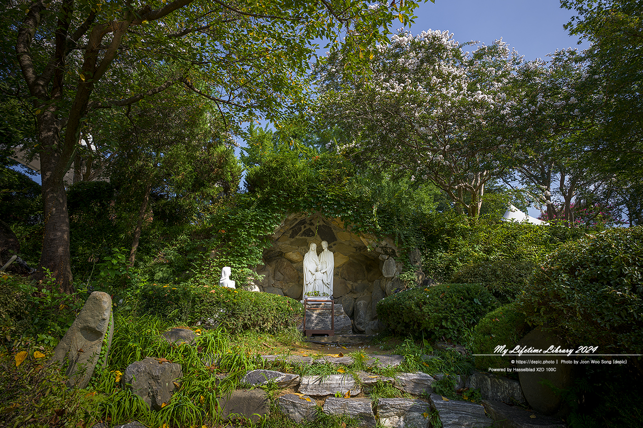 아산 공세리 공세리성당 가톨릭 성당