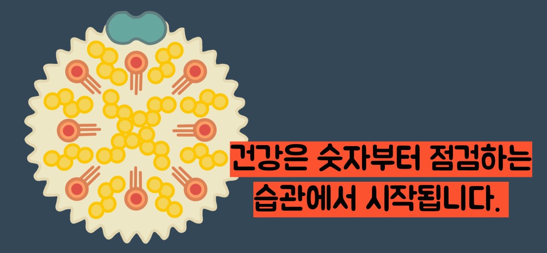 hdl콜레스테롤 정상수치