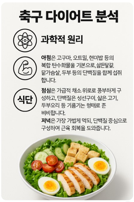 축구 다이어트 분석 이미지