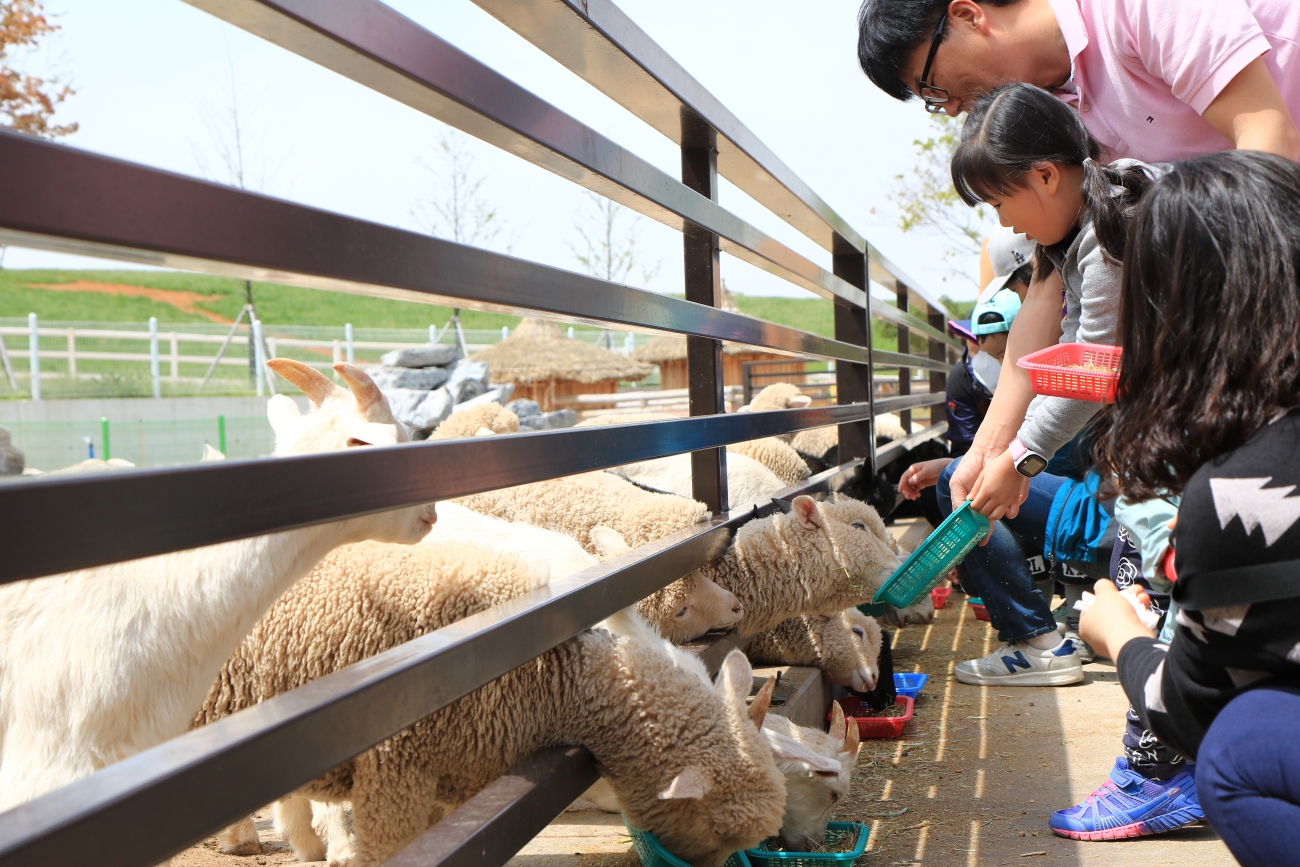 국내 5월 여행지