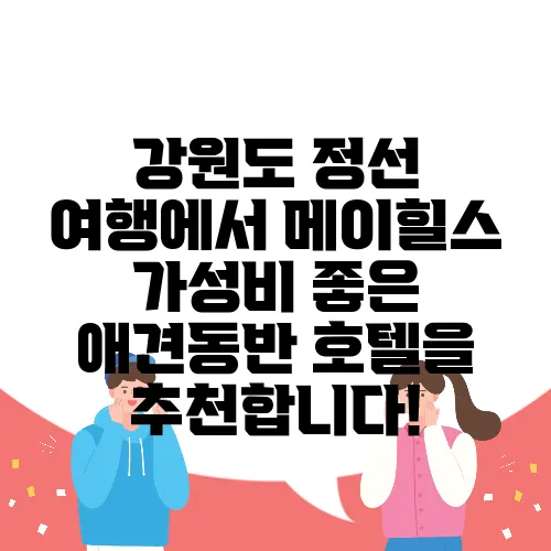 강원도 정선 여행에서 메이힐스 가성비 좋은 애견동반 호텔을 추천합니다!