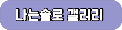 나는솔로갤러리