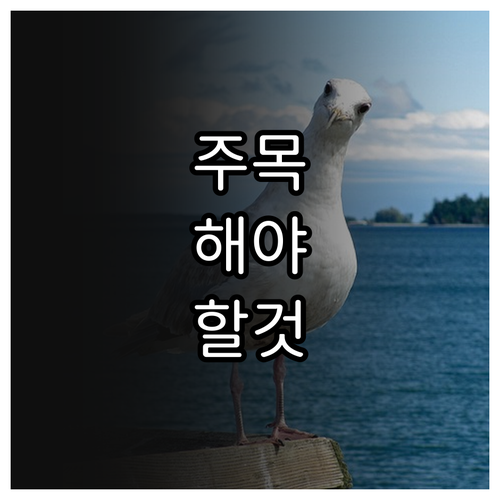 수십억 정부 지원 2025 외국인투자..