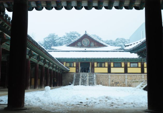 1월 경상도 가볼만한곳 여행지 ❘ 국내 겨울 나들이 명소 추천❘ 데이트 가족 실내 당일치기