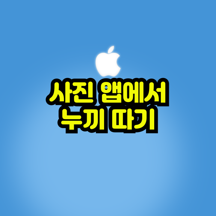 사진
