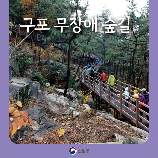 [명품숲길 50선] 부산 북구 구포 무장애숲길 산책 코스 추천