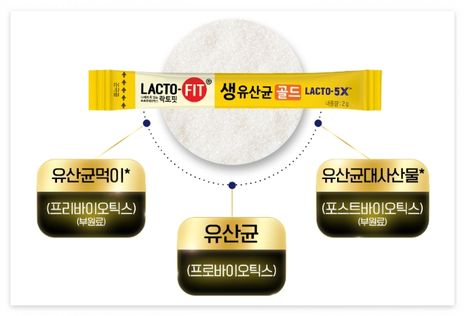 락토핏 유산균 홍보물