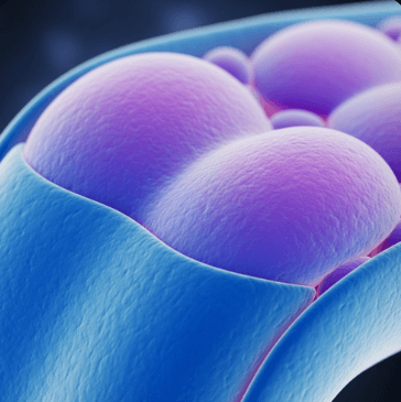 무릎 연골 재생 가능할까?2