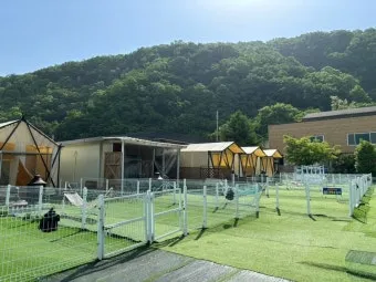 포천애견글램핑 포천 애견식당 당일치기 글램핑 해피캠핑 바베큐 바우어캠프 포천 완벽 체험_24