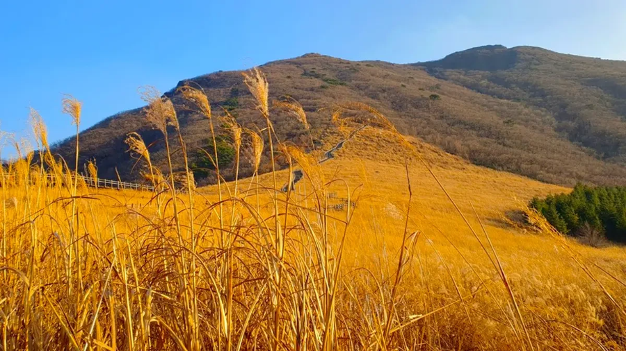 울주 가볼만한 곳