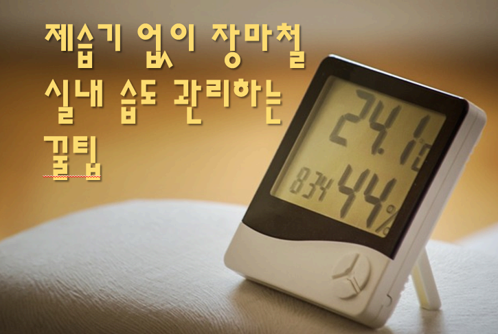 제습기 없이 장마철 실내 습도 관리하는 방법은?
