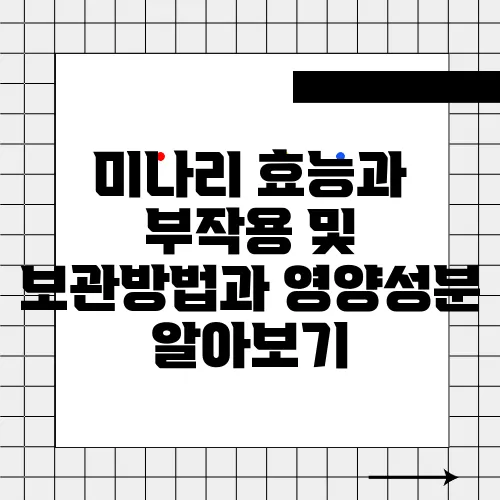 미나리 효능과 부작용 및 보관방법과 영양성분 알아보기