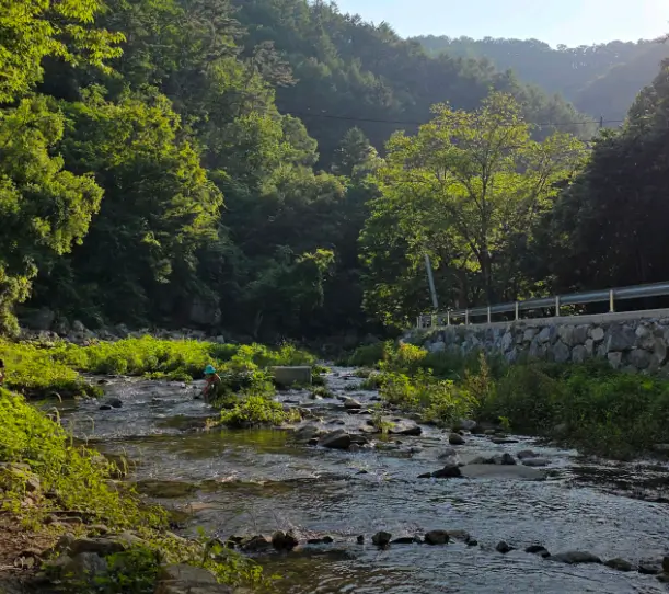 천진암 계곡