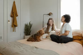 반려동물 용품 전문점 창업에 대하여 알아보기