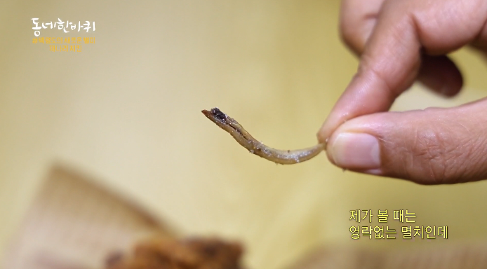 까나리