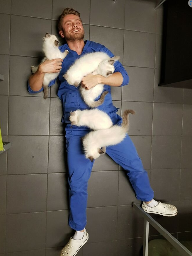 수의사 연봉-직업별 평균소득-미래 일자리