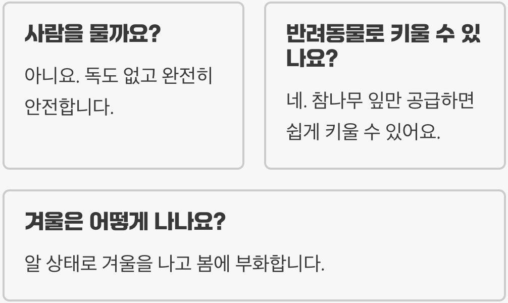 대벌레는 해충일까? 익충일까?