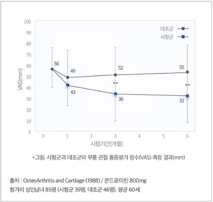 콘드로이친-효능