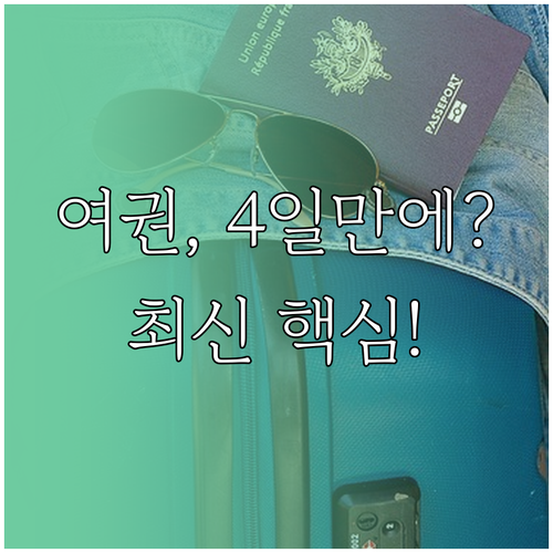 2025년 여권 발급 소요 기간 4일..