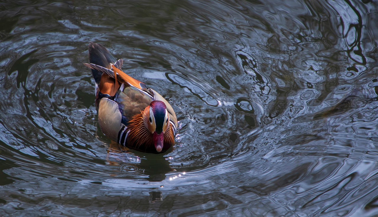 보청기 국가보조금 지원