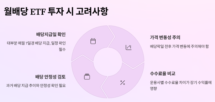 월배당 ETF추천: 2025년 수익율 TOP 20