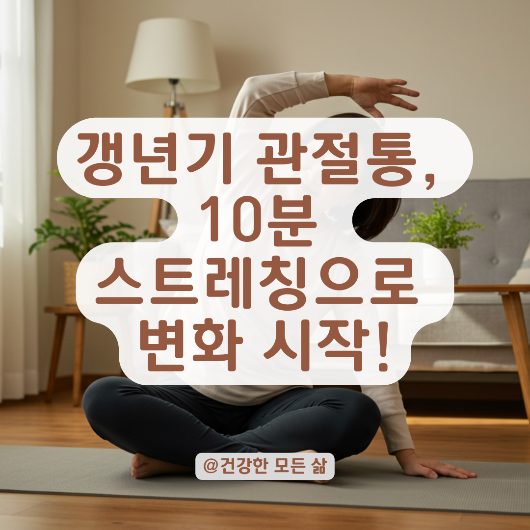 전문가가 추천하는 갱년기 관절 스트레칭, 매일 따라 하면 이렇게 달라집니다.