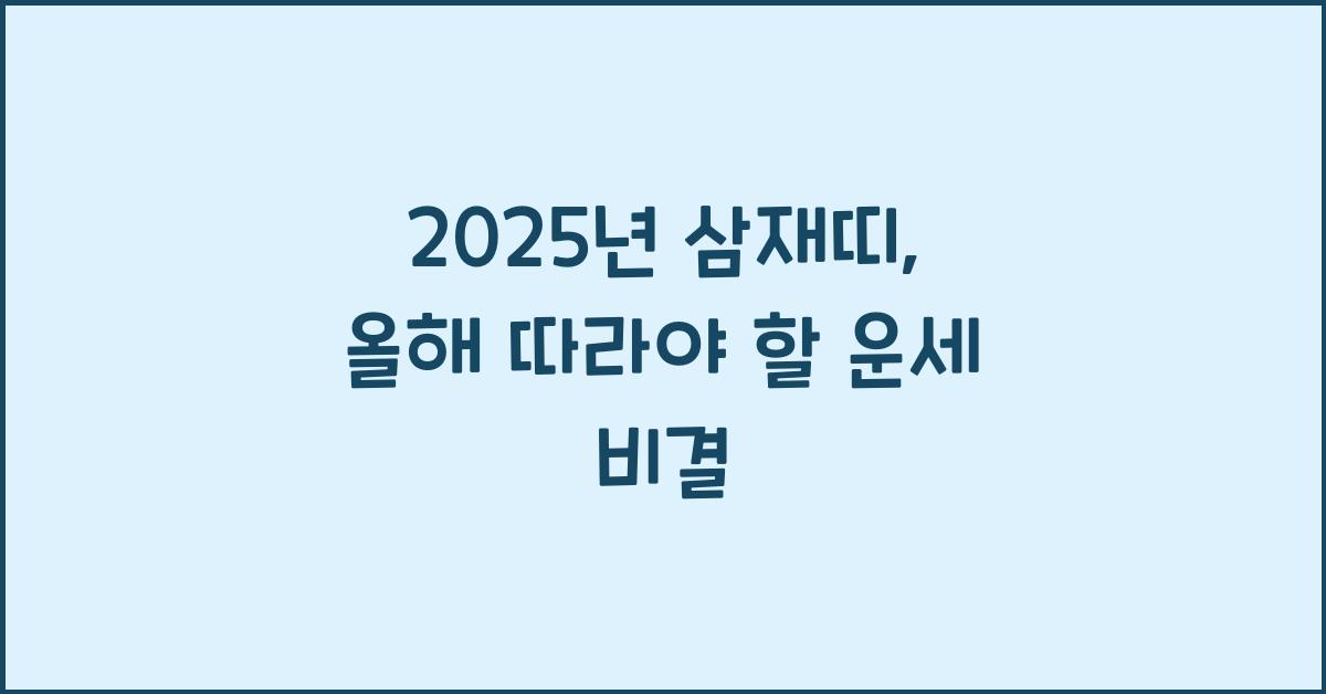 2025년 삼재띠