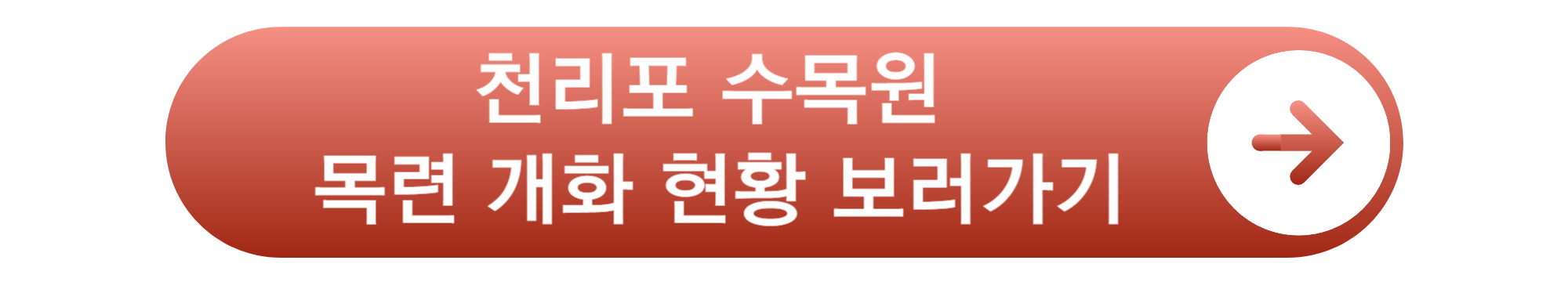 천리포 수목원 목련축제 개화현황