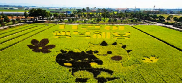 김제 지평선 축제