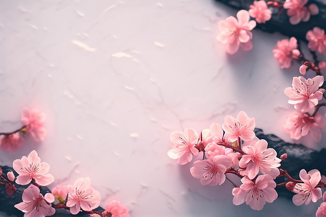 석촌호수 벚꽃 축제