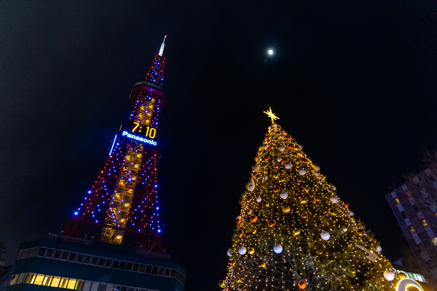 삿포로 오도리공원 크리스마스 트리